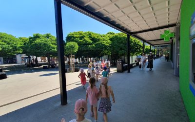 Na ceste za zmrzlinou